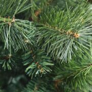 Χριστουγεννιάτικο δέντρο Pine 210cm πράσινο - Image 4