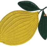 Σουπλά Lemons